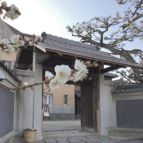 RISAIA CODA 田尻歴史館 カフェとレストラン